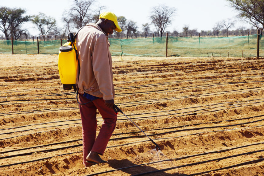 Farmers’ Kraal with Hanks Saisai – Some basics to consider during planting season