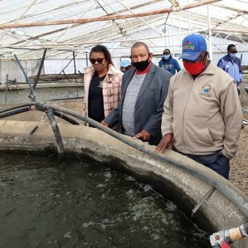 Govt committed to promote aquaculture