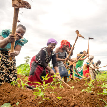 Govt earmarks N$34m for rain-fed agronomic projects