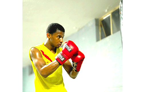 Harry-2 Harry Simon Jr returns to Sunshine stable