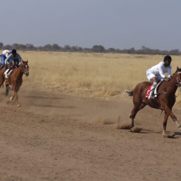 Thrill and ecstasy at Otjinene horse race 