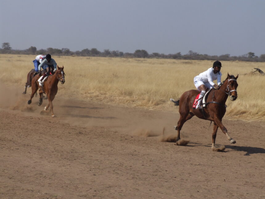 Thrill and ecstasy at Otjinene horse race 