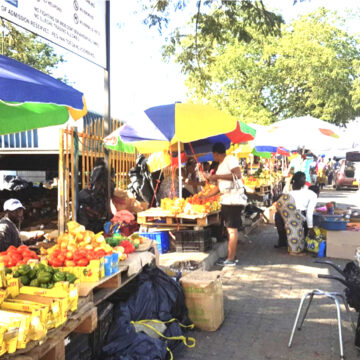 Govt interrogates informal economy …where almost 60% of Namibians are still engaged