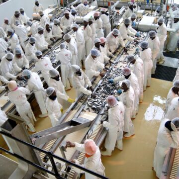 Agriculture, manufacturing and services are key to transformation – analysts