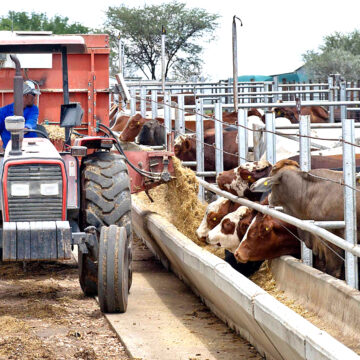 Meatco 1 Meatco to invest more in two Kavango regions …targets value addition