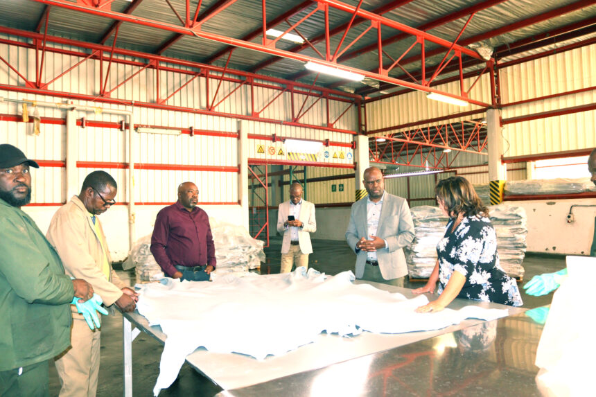 Meatco makes historic export under AfCFTA … enters Kenya’s leather market