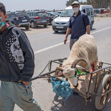 MOROCCO-HEALTH-VIRUS-RELIGION-ISLAM-EID Rural Moroccans tighten belts for Eid