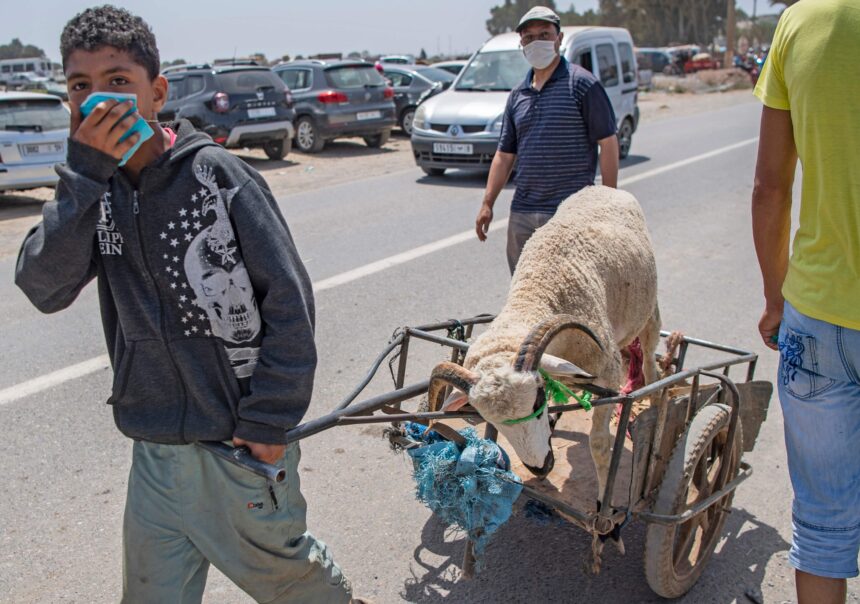 MOROCCO-HEALTH-VIRUS-RELIGION-ISLAM-EID Rural Moroccans tighten belts for Eid