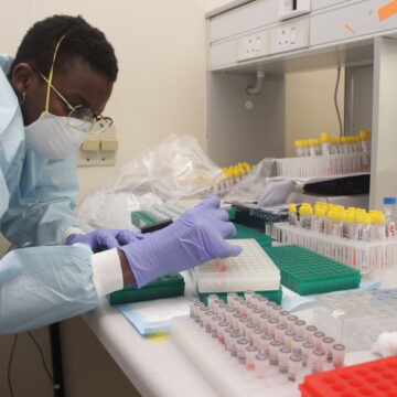 Covid-19 testing:  From swab to result … a behind-the-scenes look at the steps involved 