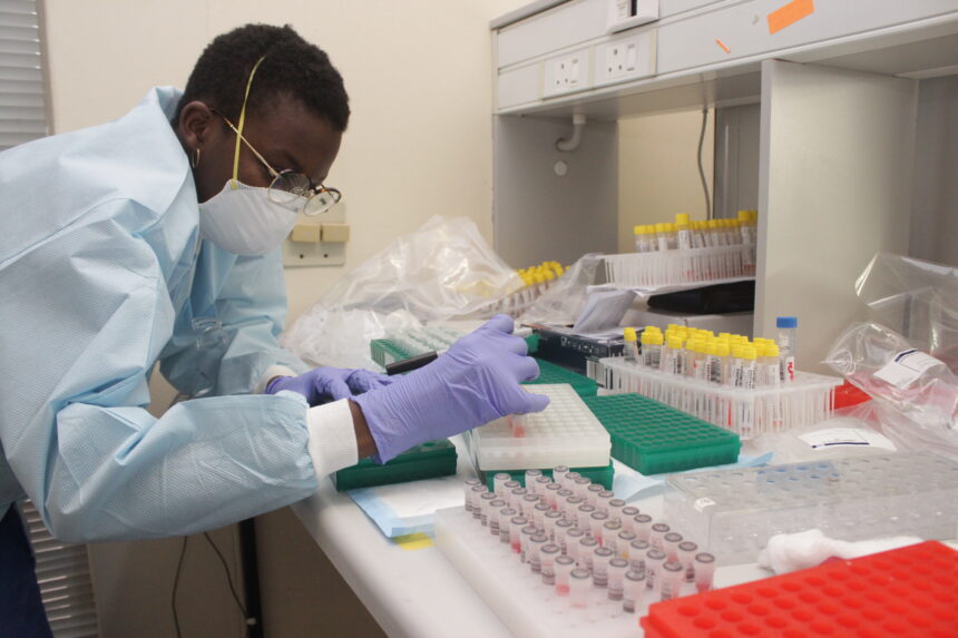 Covid-19 testing:  From swab to result … a behind-the-scenes look at the steps involved 