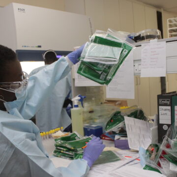 Compromised samples fuel Covid backlog