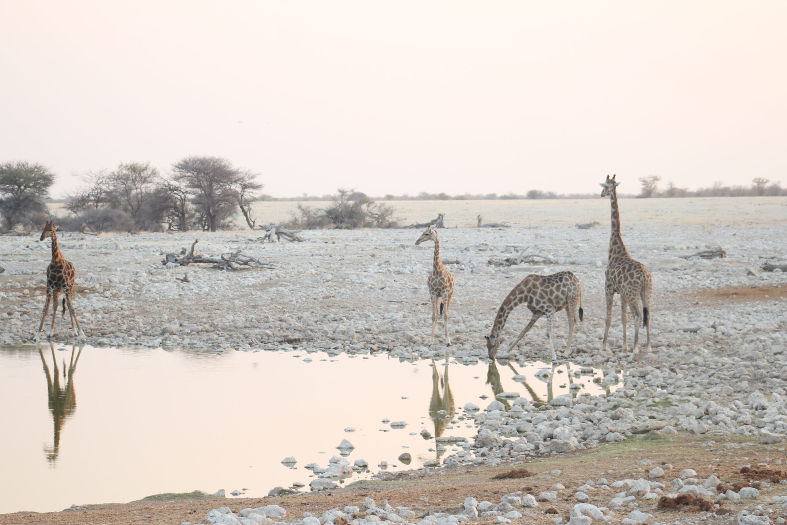 NTB wins 2025 Lonely Planet Award