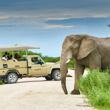 NWR records N$68.3m profit