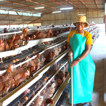 NYS expands to fodder, poultry production …aims for self-sustenance 