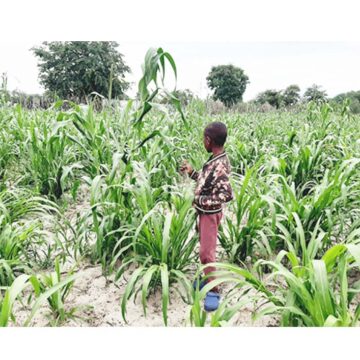 Rain Showers Shiyenga tai denge nawa omata pedu monooli …Ovakulupe ehafo lambishi meumbo mwa tomwa