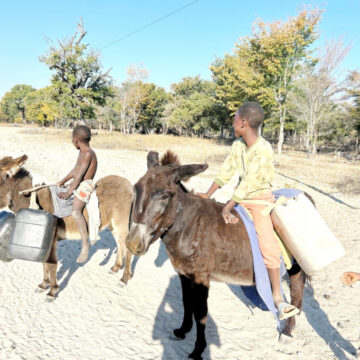 Govt eases transport in Ohangwena