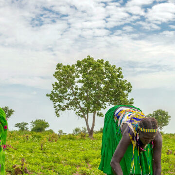 Iigwanahangano ya hala iiyemo yopakathimbo ku kwathelwe aathigona