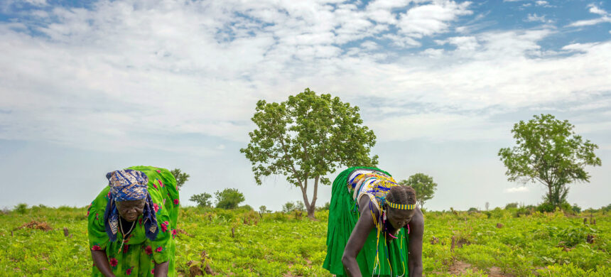 Iigwanahangano ya hala iiyemo yopakathimbo ku kwathelwe aathigona