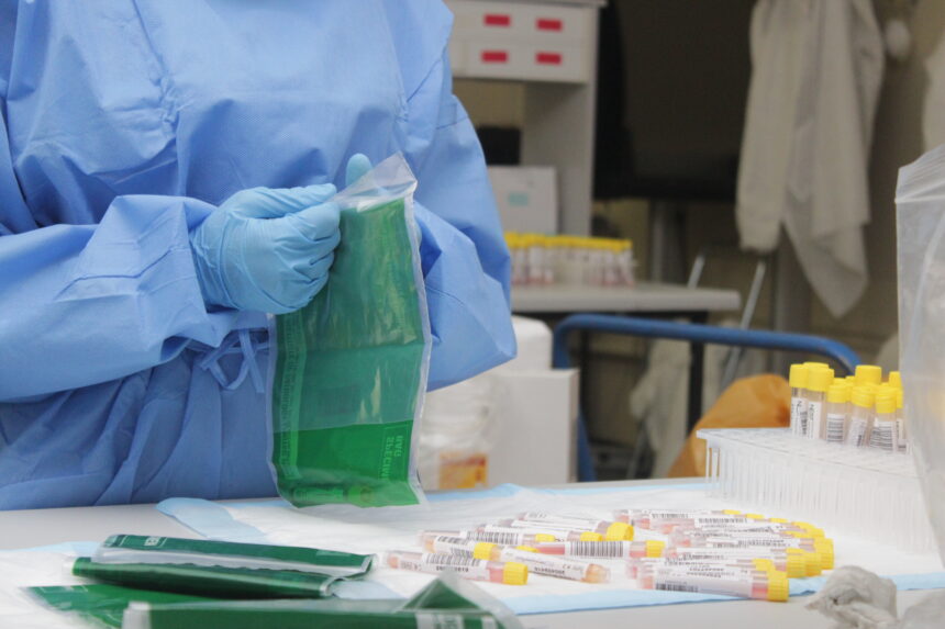 Corona cases hit the 2 000 mark … Windhoek reports first death as 60 recover from virus 