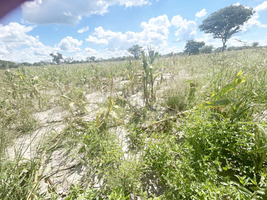 Zambezib ge !aedan khoraǂuisens !gomsib xa !namihe hâ