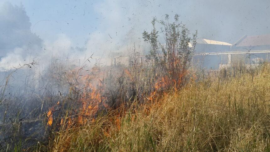 Fire destroys 2 million hectares each year