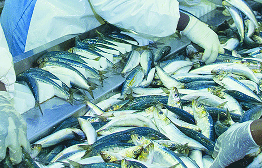 fishing-1-1 Illegal fishing to attract hefty fines