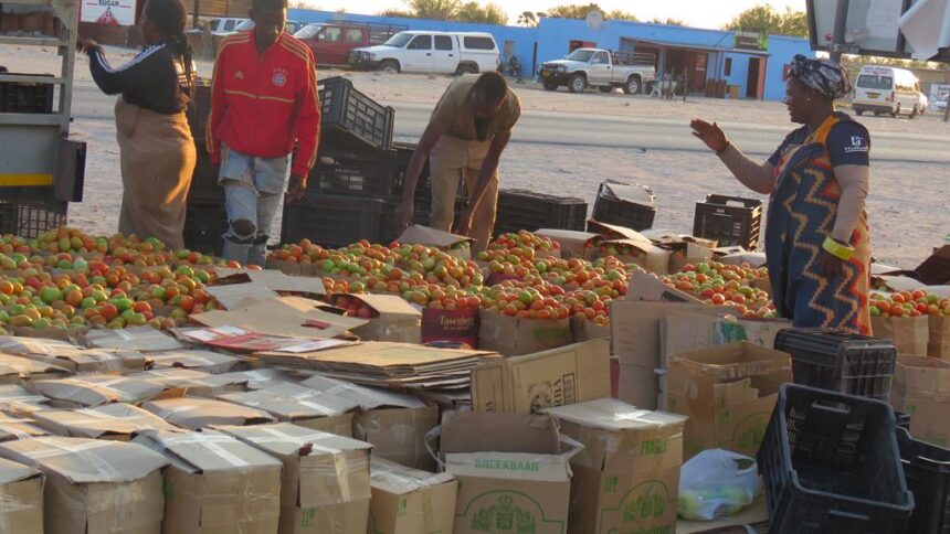 City identifies master plan for informal traders