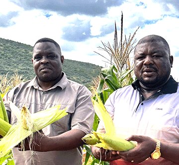 Farm Gross Osombahe champions food security …Govt supports food production efforts