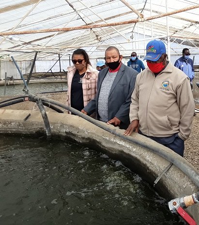 Fisheries Govt committed to promote aquaculture