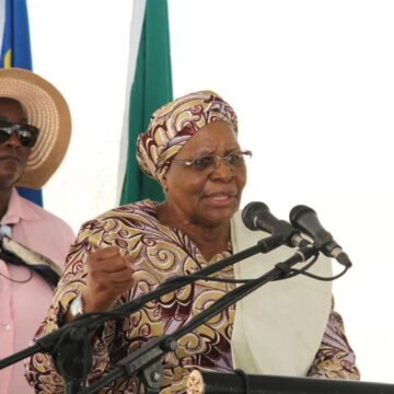 Ovahangwena ve linhipila eenyala nenota