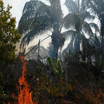 Amazon fires a ‘lie’ says Brazil’s Bolsonaro