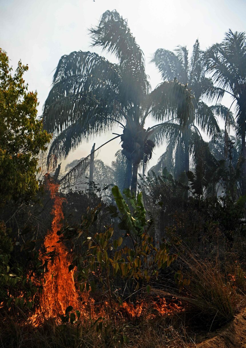 Amazon fires a ‘lie’ says Brazil’s Bolsonaro