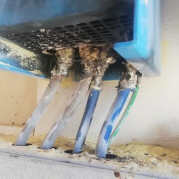 Many challenges belabour eastern borders