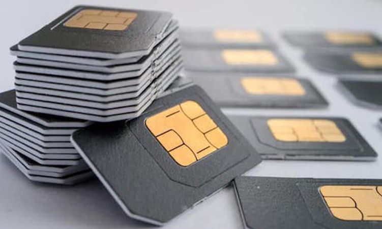 SIM card use, mobile internet rise