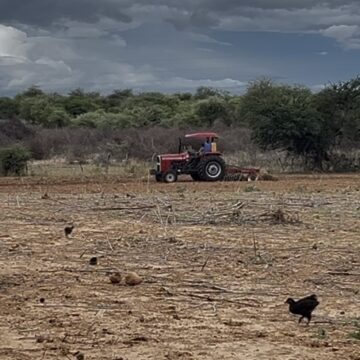 Screenshot Farmers urged to plough after strong rainfall