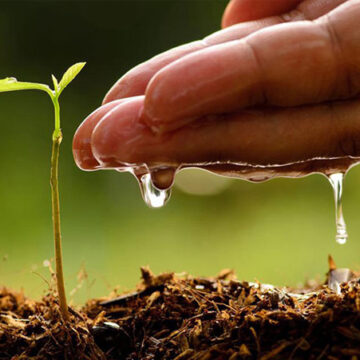Farmers Kraal Farmers’ Kraal with Erastus Ngaruka – Good rainy season can be a bad experience for farmers