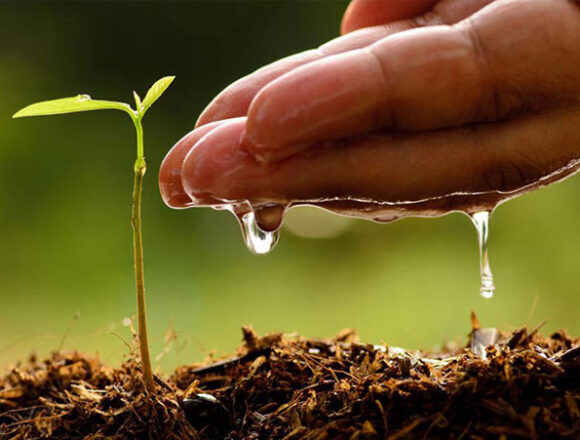 Farmers Kraal Farmers’ Kraal with Erastus Ngaruka – Good rainy season can be a bad experience for farmers