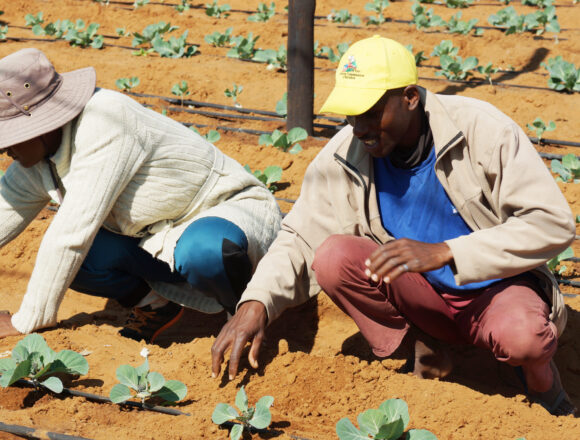 Farmers Kraal Farmers’ Kraal with Hanks Saisai – Benefits of crop producers registering their businesses