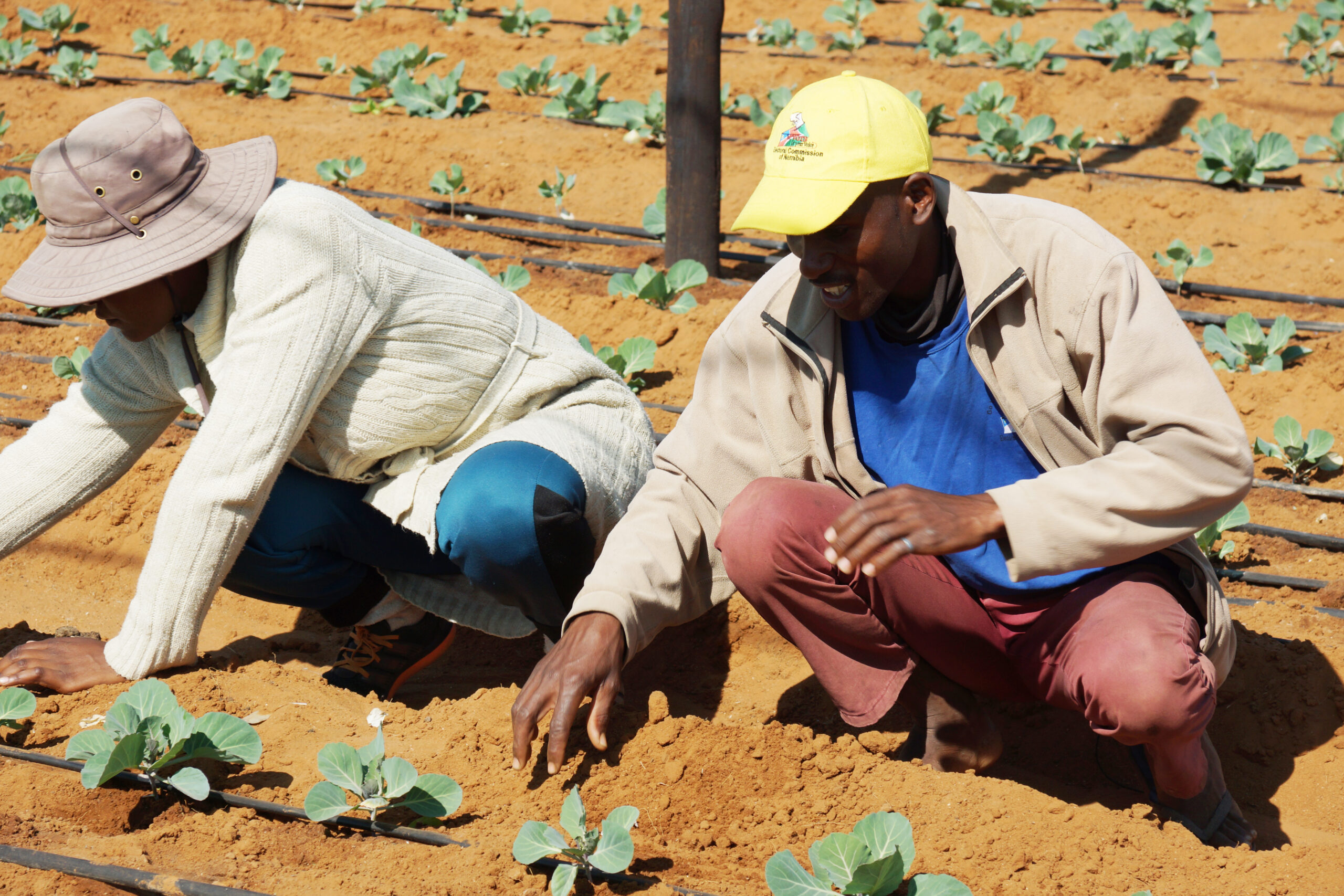 Farmers’ Kraal with Hanks Saisai – Benefits of crop producers registering their businesses