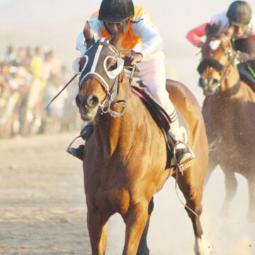 Horses 3 Woodland Ridge, Boma win big at Tobie Race Day
