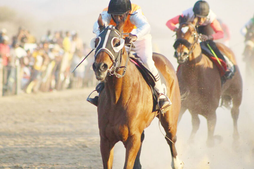 Horses 3 Woodland Ridge, Boma win big at Tobie Race Day