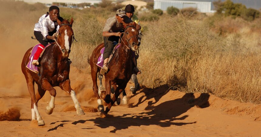 Horses jpg Okamatapati horse race cancelled