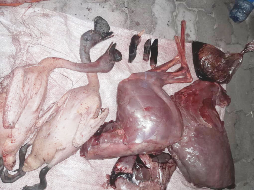 IMG-20251211-WA0022 Muuna utamelwa kuzuma isi kamulao