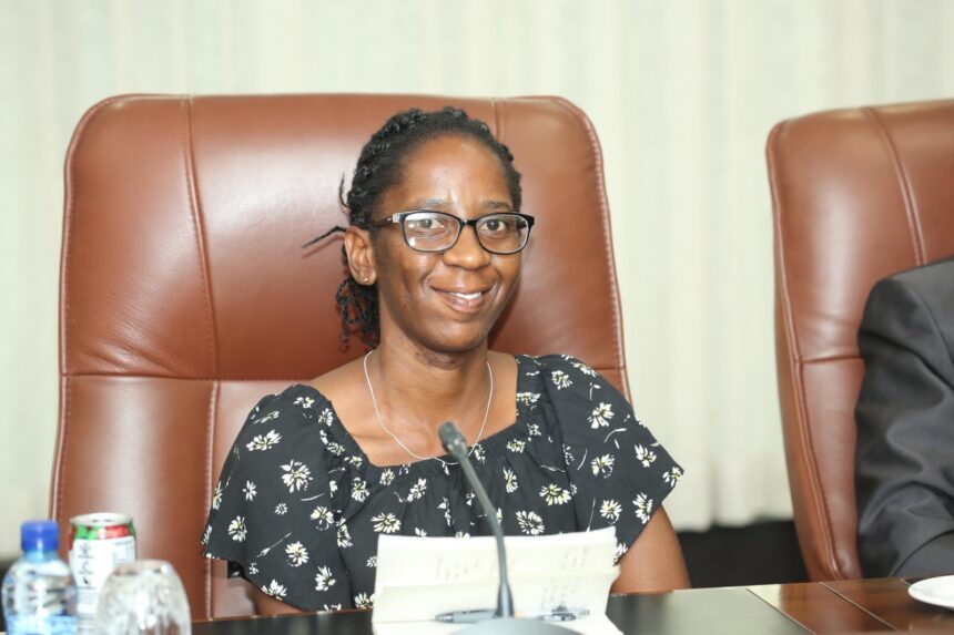 Opinion – History meets innovation: Building a stronger Namibian economy for all