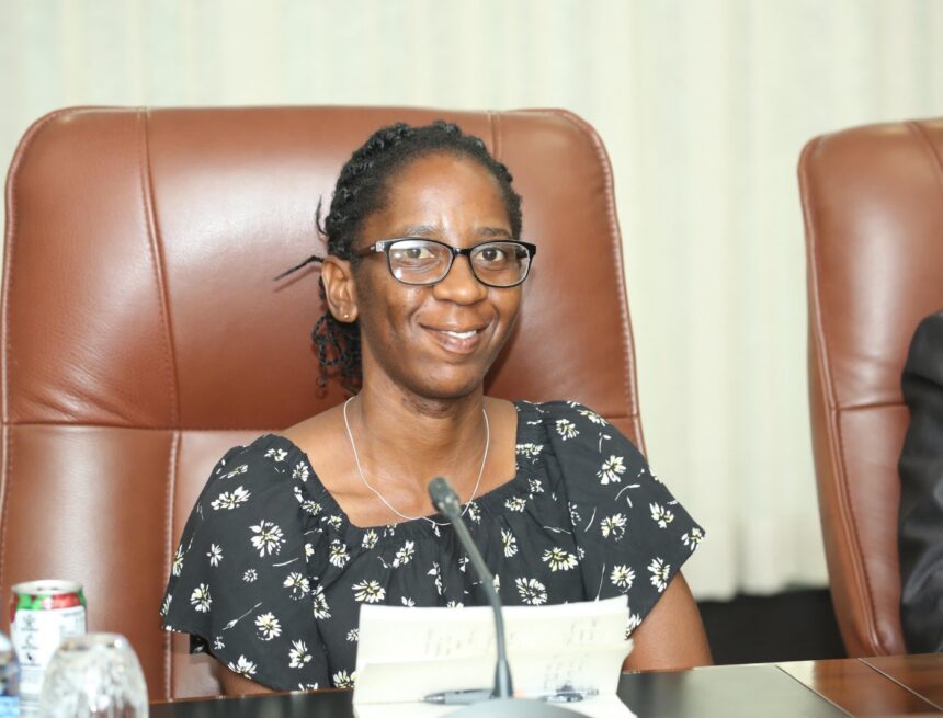 Opinion – History meets innovation: Building a stronger Namibian economy for all