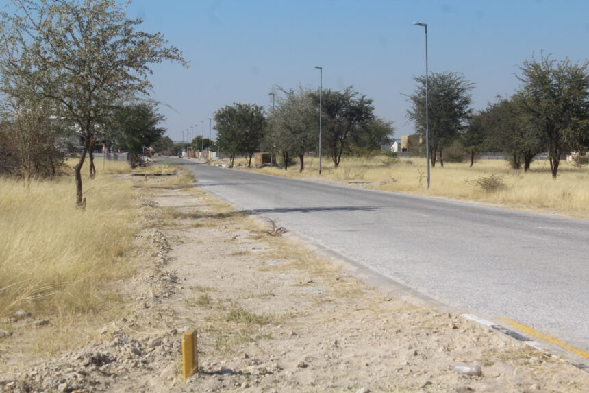 Land delivery at snail’s pace in Oshana – Irimari