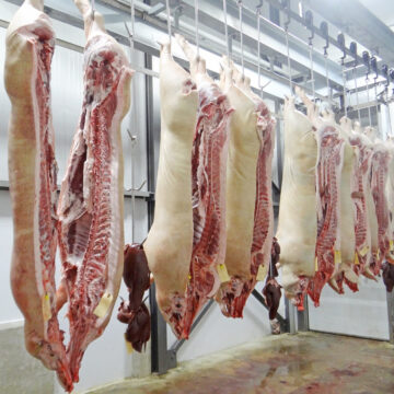 Local abattoirs slaughter 4 655 pigs …as cattle exports decrease by 25%