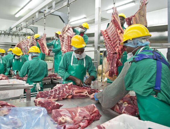 Meatco Exports 1 Meatco eyes strategic Central African markets …redline farmers to benefit