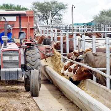 Meatco Foundation launches Agribusiness e-Academy … to boost farmers’ productivity 