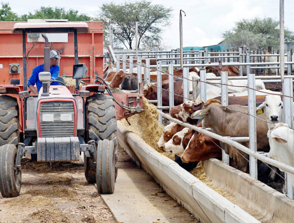 Meatco Foundation Meatco Foundation launches Agribusiness e-Academy … to boost farmers’ productivity